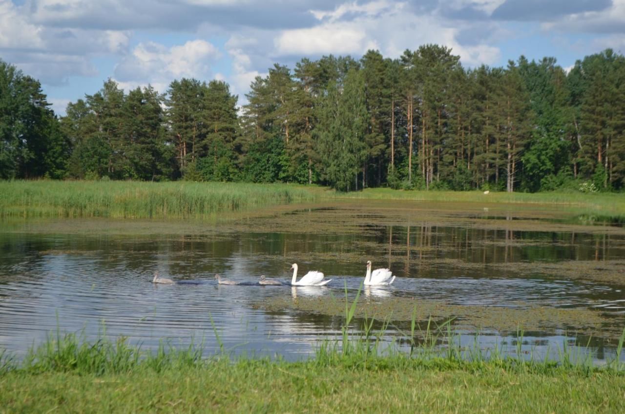 Дома для отпуска Vecbērziņi Ozolaine-24